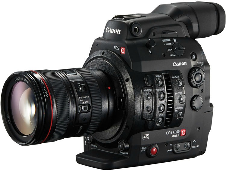 Canon C300 Mark2 crop