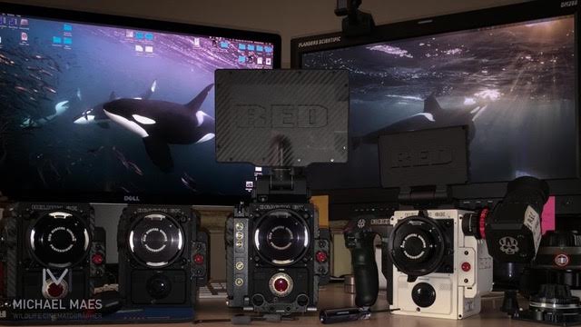 Michael Maes RED Cameras