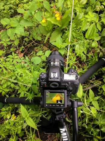 Nikon D500 Nikon D500